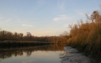 Freshwater wetland in coastal Georgia during  winter